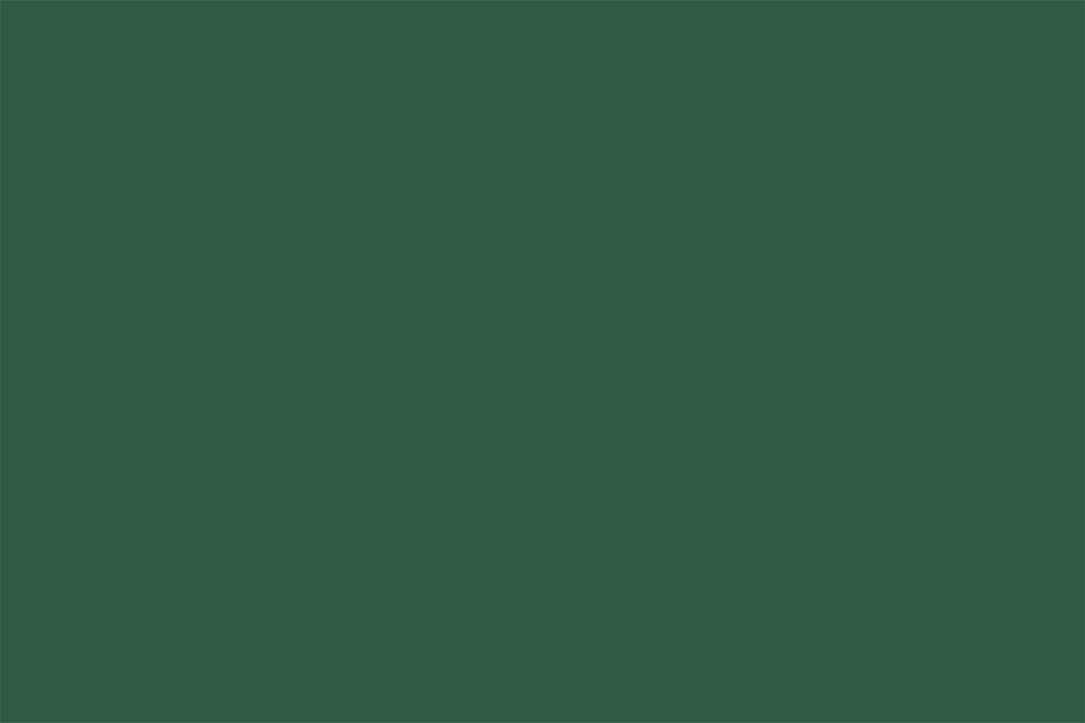 Surround Layer