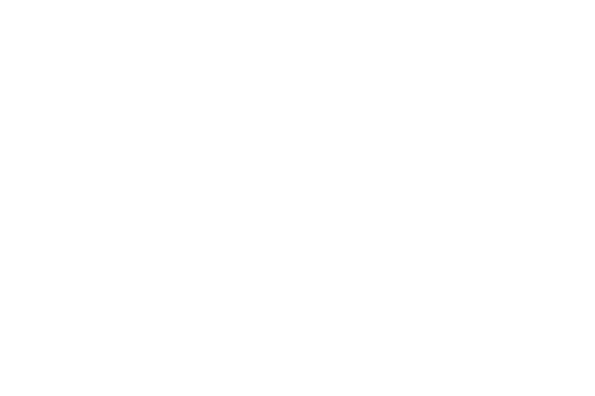 Lines Layer